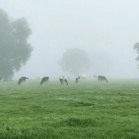 Buuf In De Brabantse Prázdninový dům *