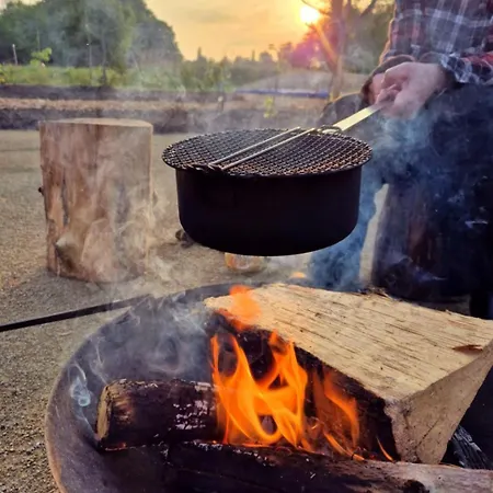 Buuf In De Brabantse *