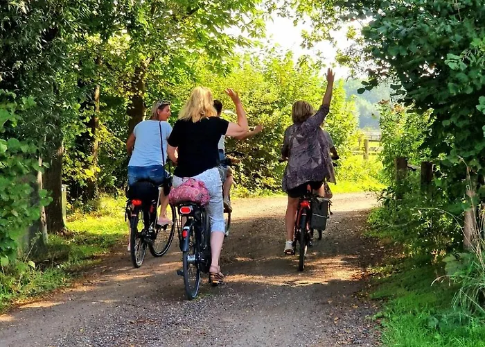 Buuf In De Brabantse