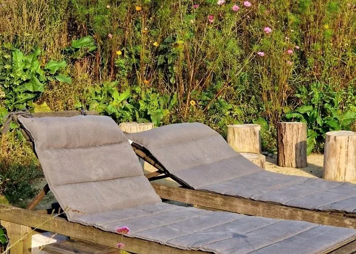 Buuf In De Brabantse