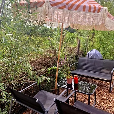 Buuf In De Brabantse