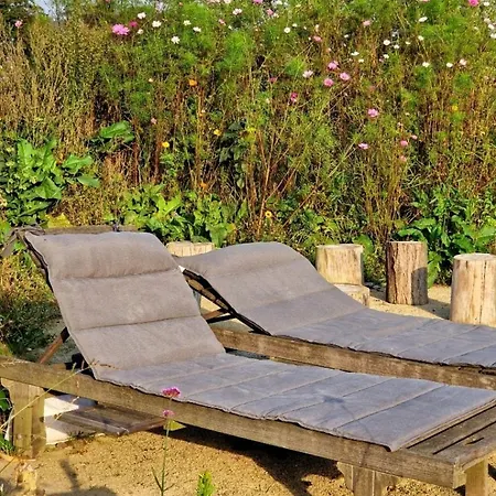 Buuf In De Brabantse