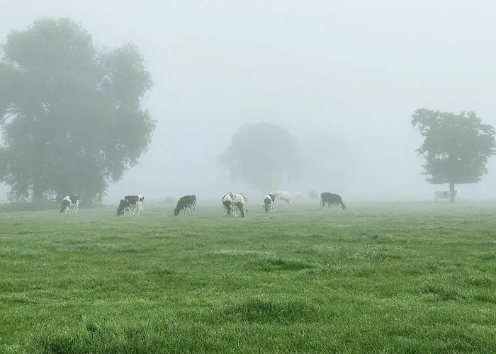 Buuf In De Brabantse Дом отдыха *