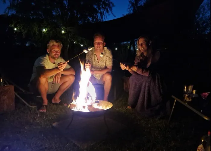 Buuf In De Brabantse Schijndel
