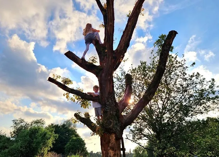 Дом отдыха Buuf In De Brabantse Schijndel