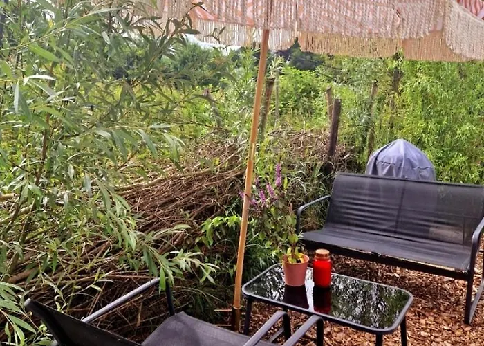 Buuf In De Brabantse