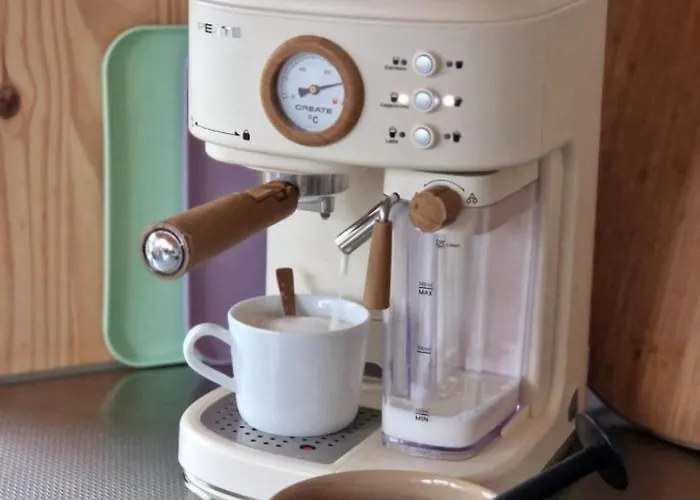 Buuf In De Brabantse Schijndel